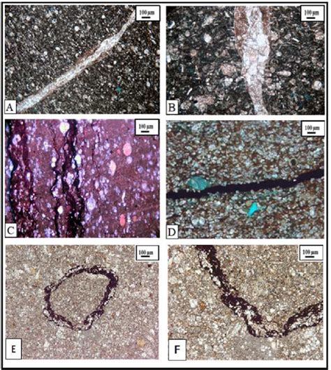 Photomicrographs Illustrating Diagenetic Features Of The Radwany