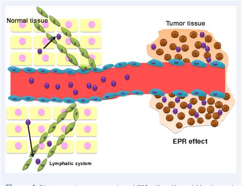 Figure 1 From Enhanced Permeability And Retention Epr Effect Based