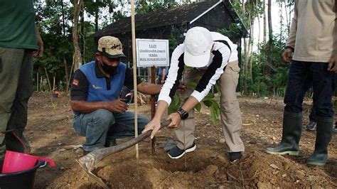 Dukung Gerakan Revolusi Hijau Forkopimda HSS Tanam Pohon Ulin Serentak