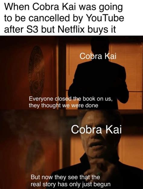 50+ Funny Cobra Kai Memes That Are Relatable AF