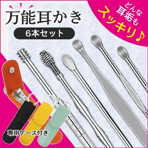 耳掃除 耳かき ステンレス 6点 ケース付き 耳用 大きい 小さい 手入れ 耳くそ 耳垢 耳掃除セット クリーナー 金属 プロ 3490