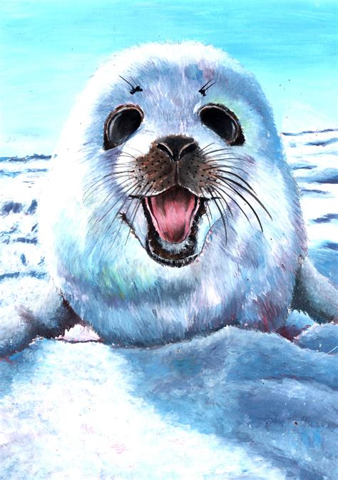 Harp seal pup by grim1978 on DeviantArt