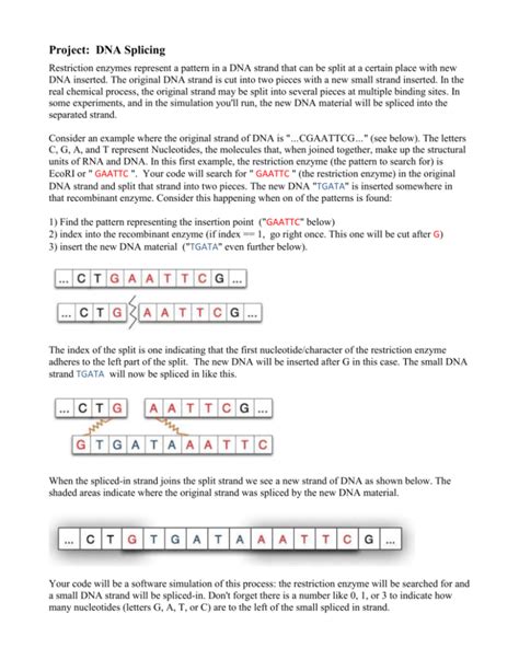 Project: DNA Splicing