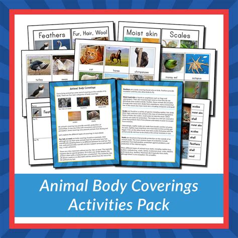 Animal Body Coverings Activities Pack - Gift of Curiosity