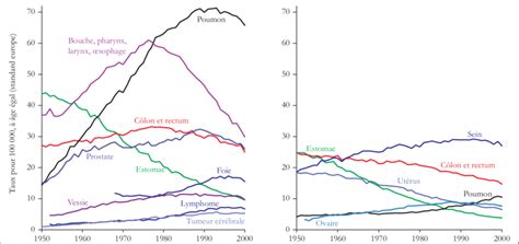 Evolution De La Mortalit Pour Les Principales Localisations De Cancer