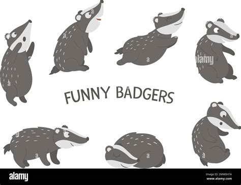 Vector Set Of Cartoon Style Hand Drawn Flat Funny Badgers In Different Poses Cute Illustration