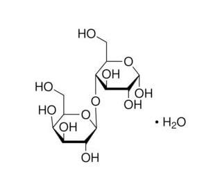 α-Lactose monohydrate | CAS 5989-81-1 | SCBT - Santa Cruz Biotechnology