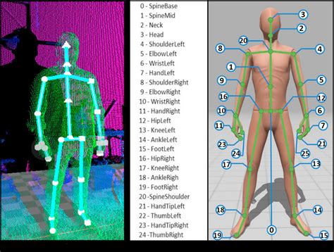 A The Depth Map Acquired By The Kinect V2 Sensor B The 25 Body