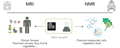 Nmr And Mri Samples Rs D