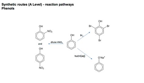 Phenol Synthetic Routes Diagram | Quizlet