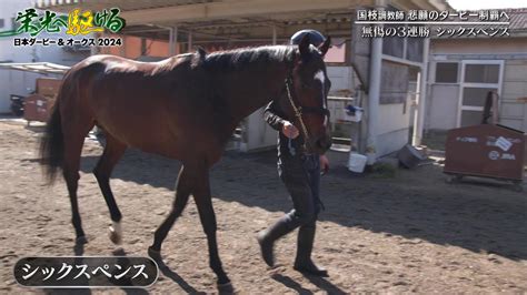 【日本ダービー】3戦無敗のシックスペンスで挑む！国枝調教師がどうしても手にしたいタイトル｜テレ東スポーツ：テレ東