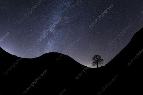 Milky Way over Sycamore Gap, Hadrian's Wall, England - Stock Image - C055/6394 - Science Photo ...