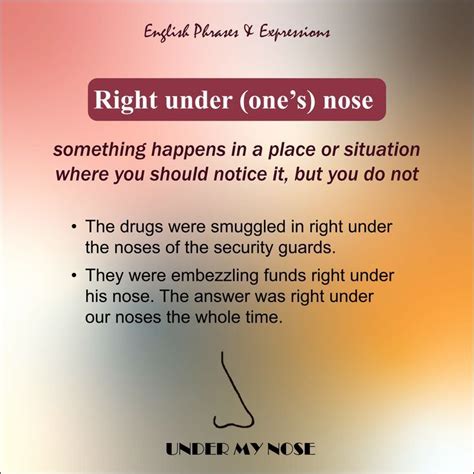 English Idioms and Phrases - right under one's nose | Idioms and ...