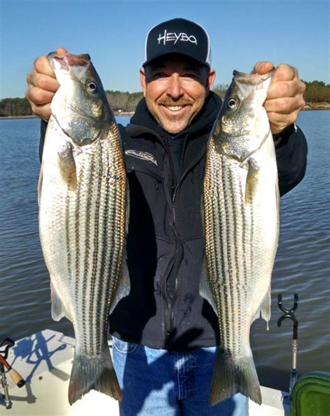 Striper – Fishing Guide – Lake Wylie / Lake Norman – The Carolina Angler