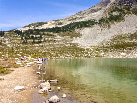 Blackcomb Hiking Trails in Whistler (By a Season's Pass Holder)