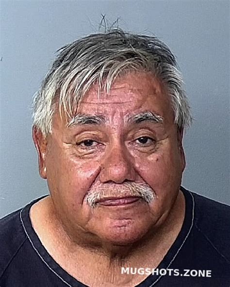 Castaneda David Manatee County Mugshots Zone