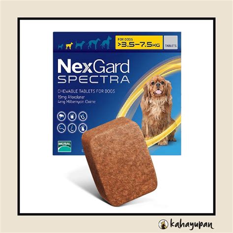 Nexgard Combo Ear Mites