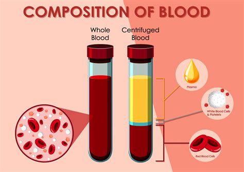 Lipid Profile VietnamTA Vn