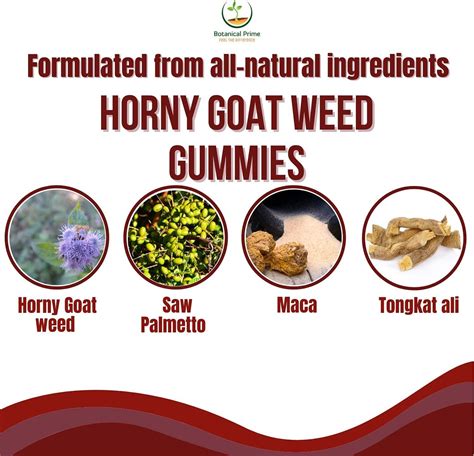 Potent Horny Goat Weed Gummies For Men Women Natural Energy Booster