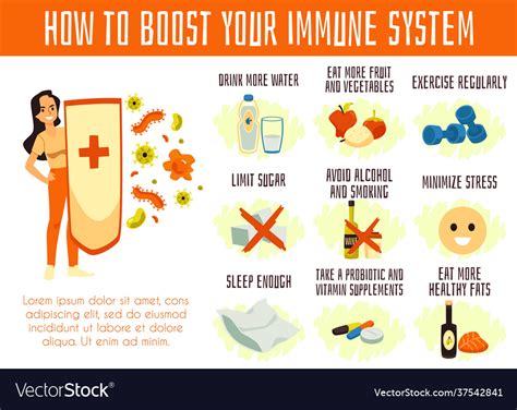 Infographic How To Boost Defenses Immune System Vector Image