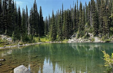 Mount Robson Provincial Park De 10 Beste Routes Om Te Wandelen Alltrails