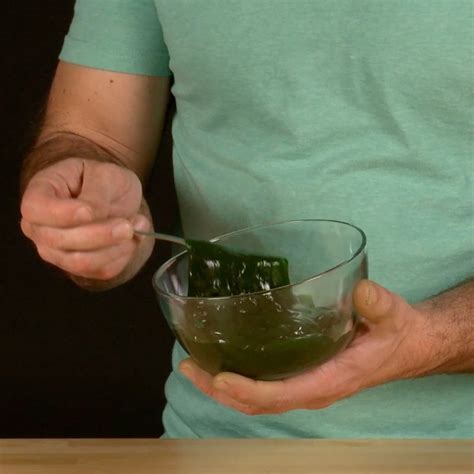 Edible Slime - Steve Spangler