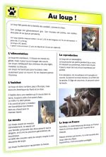 Documentaires Sur Les Animaux Lutin Bazar