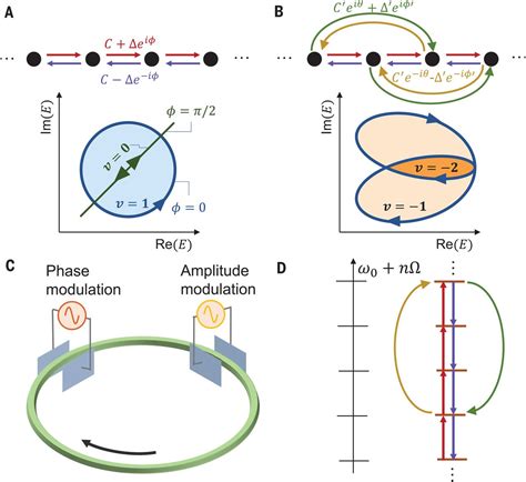 Generating Arbitrary Topological Windings Of A Non Hermitian Band Science