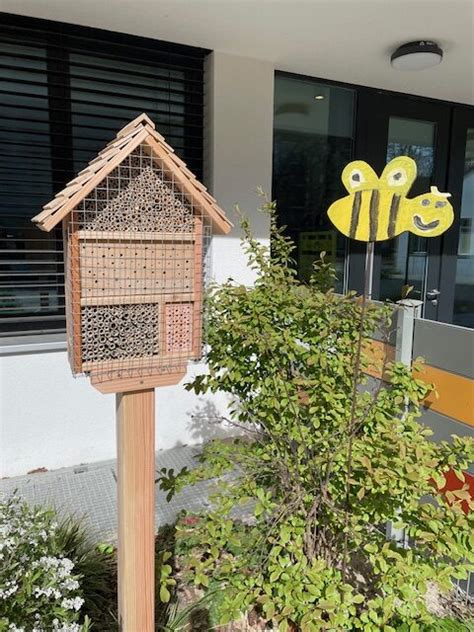 Wildbienen Oase Im Nachbi Garten Nbh Neukoelln