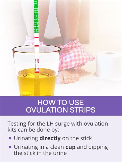 Ovulation Test Kits Shecares