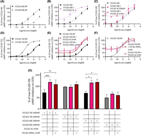 Chemokine N‐terminal‐derived Peptides Differentially Regulate Signaling