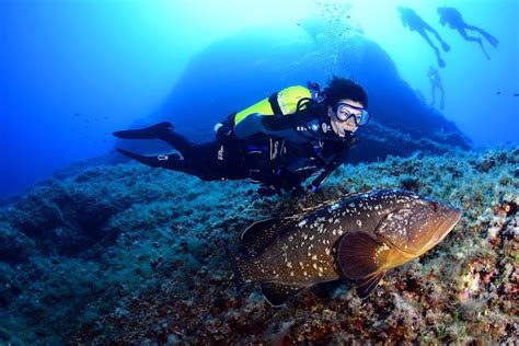 Pro Voyages Plongée à Majorque aux Baléares