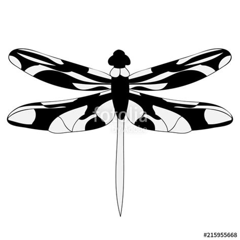 Dragonfly Silhouette Vector At Vectorified Collection Of