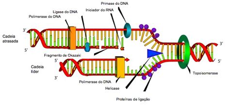 Replicacao Pt