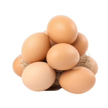 Chicken Egg Nest Nest Chicken Egg Png Transparent Image And Clipart