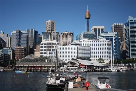 Sydney - City and Suburbs: Darling Harbour, Sydney skyline