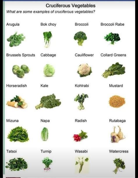 Cruciferous Vegetables List Uk - Taka Vegetable