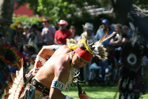 Sun Dance Ceremony 2024 - Cora Meriel