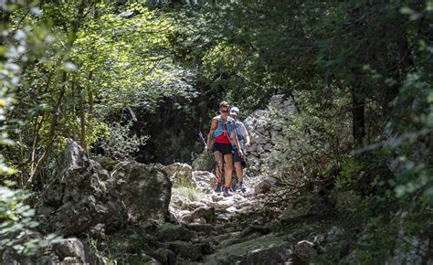 El Circuit Catal De Caminades De Resist Ncia Passa Per La Serra De