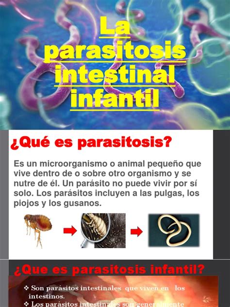 La Parasitosis Coredro Descargar Gratis Pdf Especialidades Medicas Enfermedades Y Trastornos