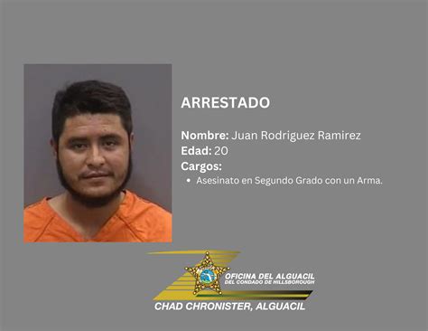 Hombre Arrestado DespuÉs De ApuÑalar A Un Miembro De Su Familia Hcso Tampa Fl