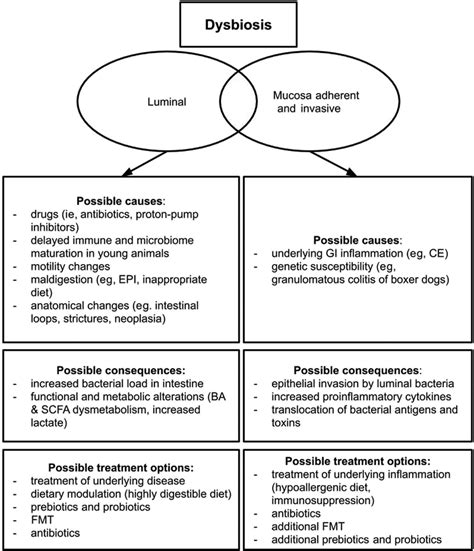 Treatment approach to intestinal dysbiosis. Intestinal dysbiosis is ...