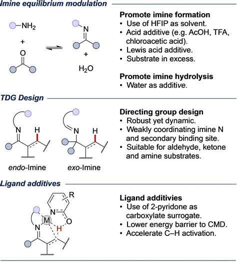 When Is An Imine Directing Group A Transient Imine Directing Group In C