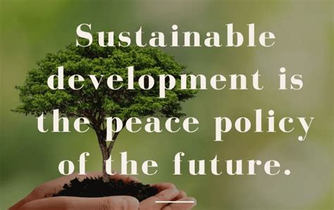 Sustainability The Peace Policy For The Future