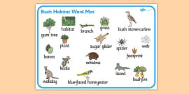 Australian Beach Habitat Word Mat Teacher Made Twinkl