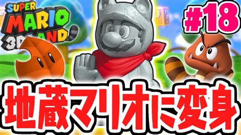 たぬきマリオ様専用 家庭用ゲームソフト