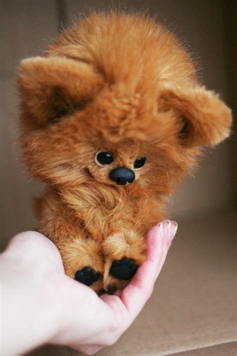 Design of pomeranian dog toy 2012 on Behance