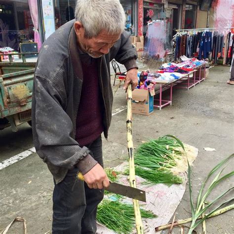 農村大爺賣這種稀罕甜杆子，我二十年沒見了，一根三塊，你吃過嗎 每日頭條