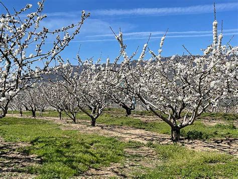 Valle Del Jerte Qu Ver Pueblos Senderismo Miradores