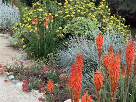 How To Pick The Best Perennials For Your Yard Xeriscape Rock Garden